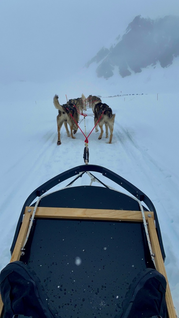 Photograph of dog-sledding in Alaska.